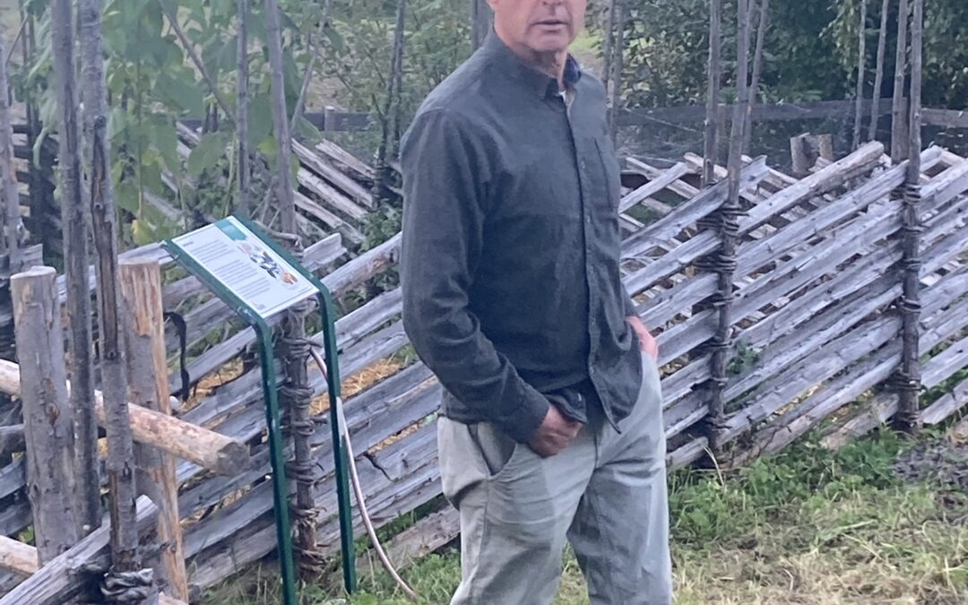 Stipend til Ole Hammerborg